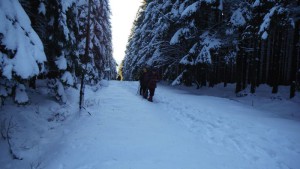 DSCF3189